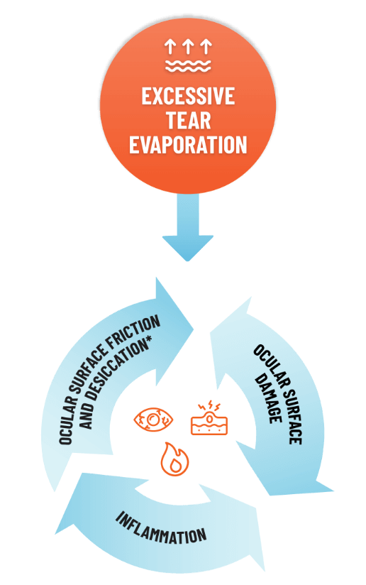 Illustrated cycle of evaporation in DED